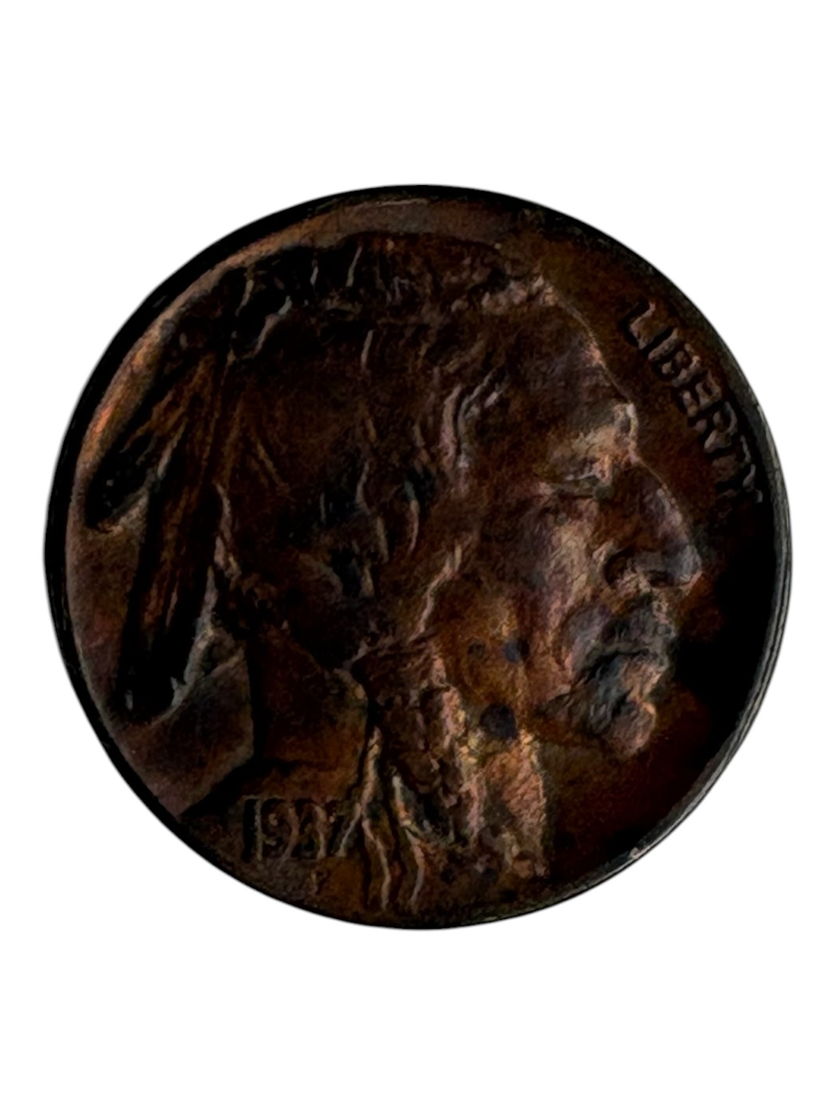 Shellback Coins 1937 Buffalo Head Nickel featuring a detailed Native American profile with a rich aged patina