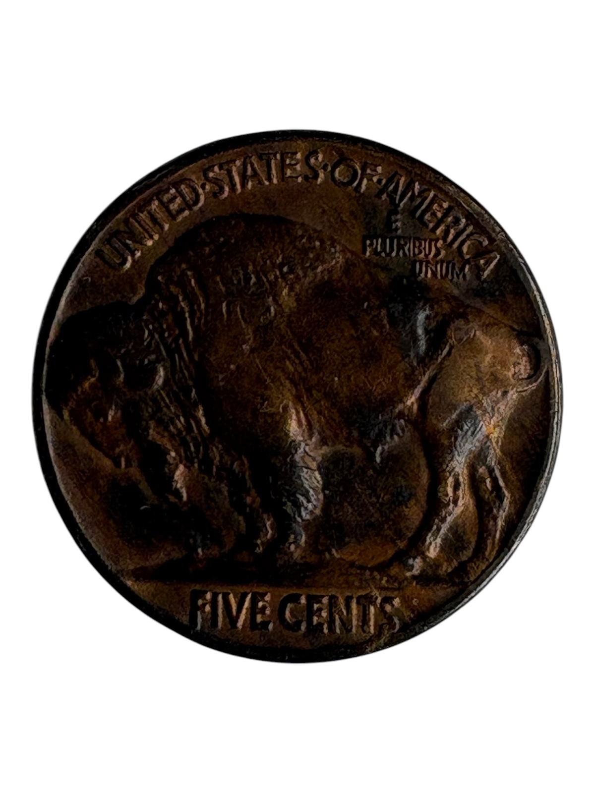 Shellback Coins 1937 Buffalo Nickel reverse side showing American bison design with aged patina on a neutral background